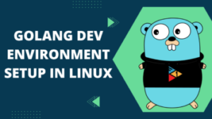 Install GoLang in Linux : Setting up Dev Environment
