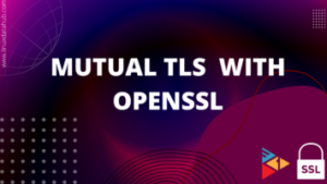 Mutual TLS Authentication Simulation With Openssl